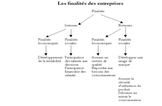 les finalités de l'entreprise  TSGE L'entreprise et son environnement