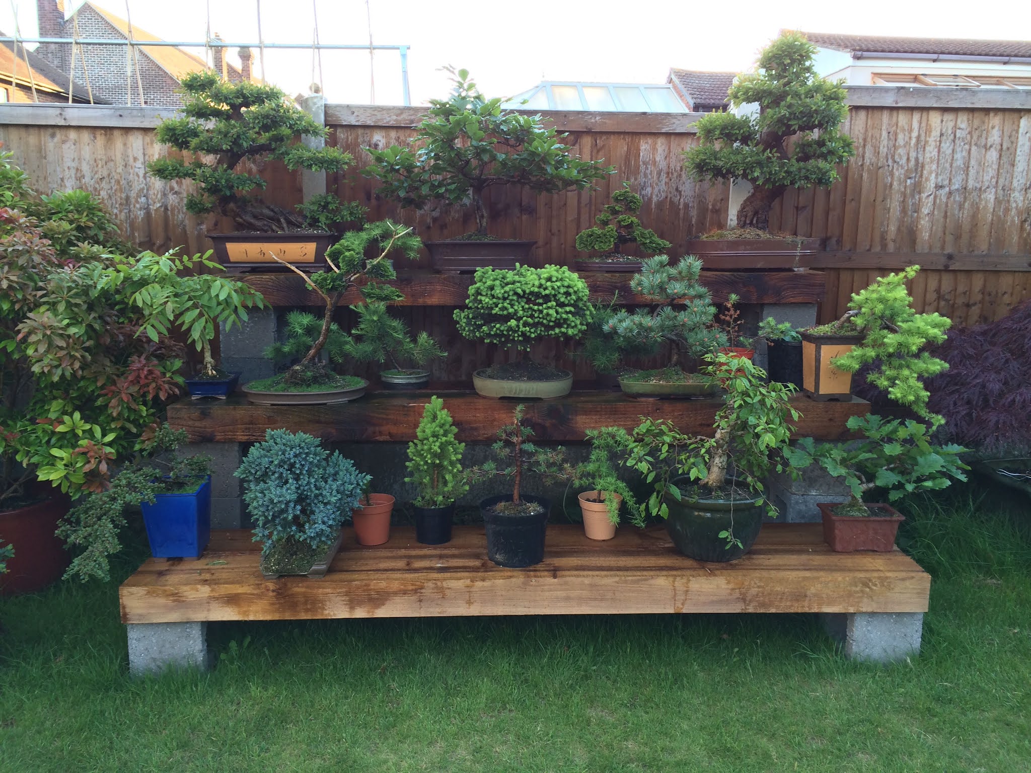 How to Use a Bonsai Stand/Table Outdoors About Bonsai