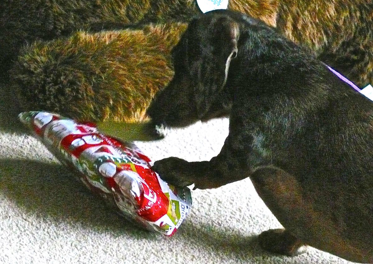 The Orchard Tea Room Farm Shop 2016 the-orchard-tea-room-farm-shop-2016