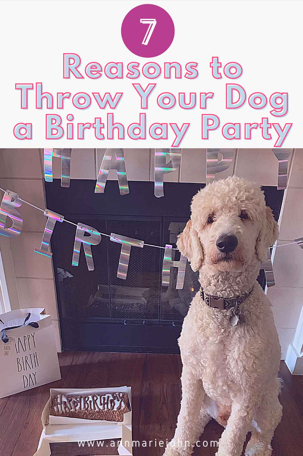 Reasons To Throw Your Dog A Birthday Party