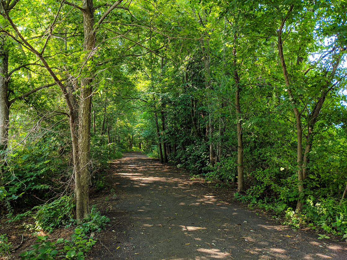 Walking Governor's Island in Madison WI