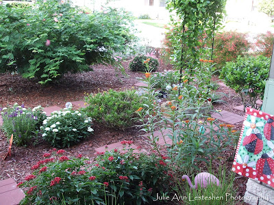 Flowering Yellow Mandevilla and Other Plants in Leesburg Florida Garden Flowering Yellow Mandevilla and Other Plants in Leesburg Florida Garden