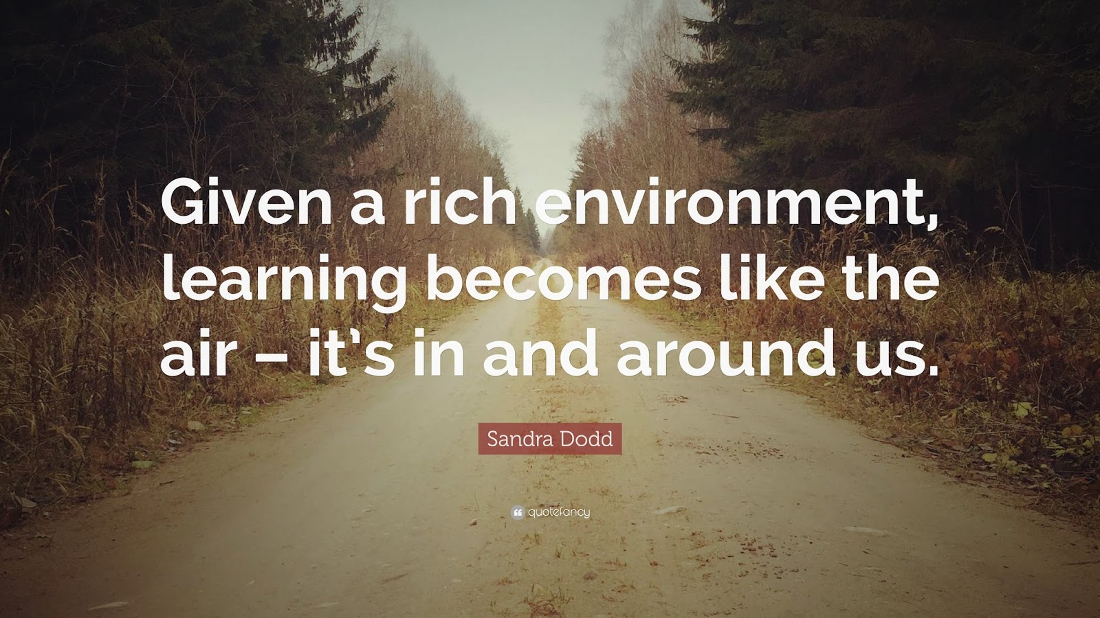 1992977 Sandra Dodd Quote Given a rich environment learning becomes like