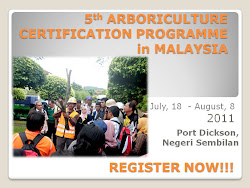 Arborist Certification Programme