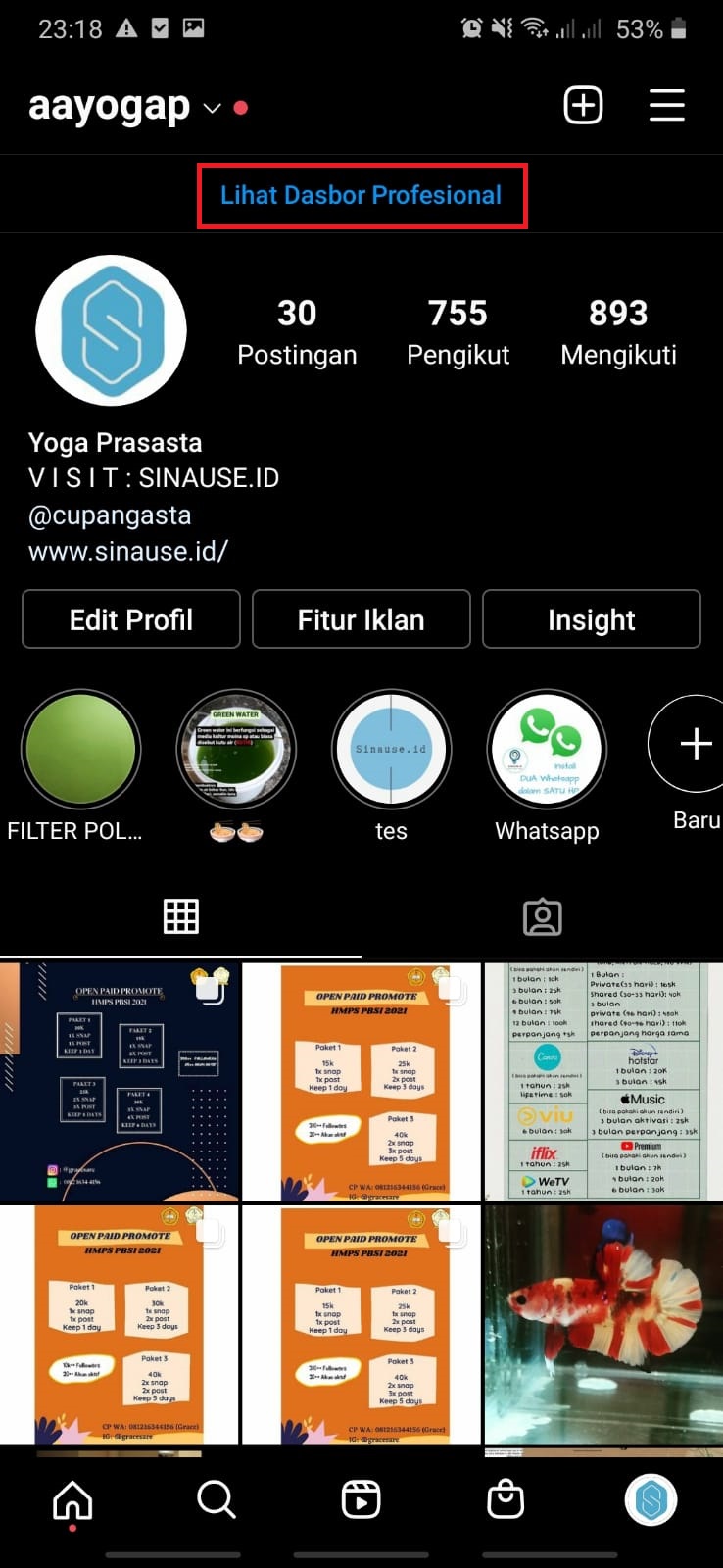 Cara Melihat Insight Instagram SINAUSE ID cara-melihat-insight-instagram-sinause-id