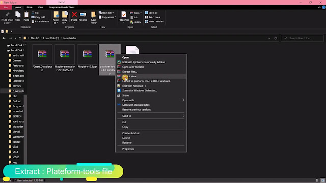 extract platform_tools.zip file extract platform_tools file