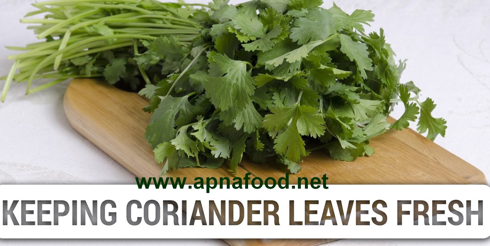 How To Store Fresh Coriander Apna Food