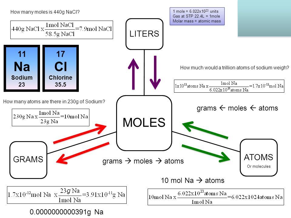 Mole Diagram