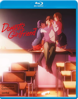 Domestic Girlfriend – Miniserie [2xBD25] *Subtitulada