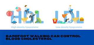 Barefoot walking can Control Blood Cholesterol