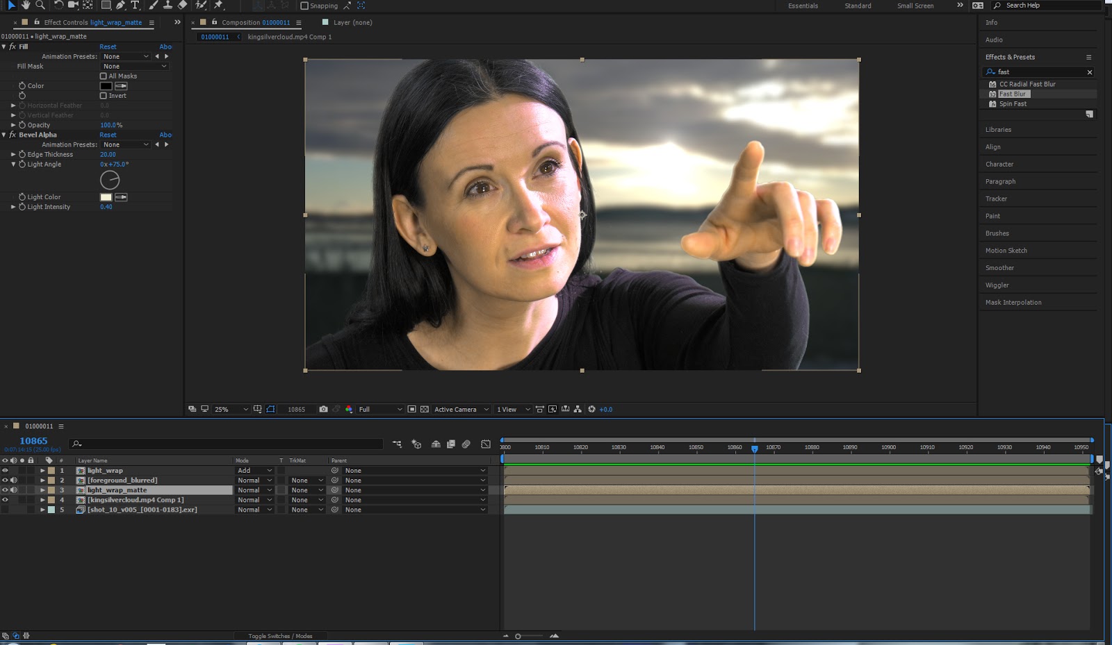 animatedcreativeandreamcswan