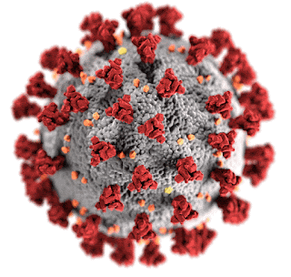 coronavirus.gif