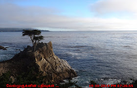 Cypress Point lookout 17 Mile Scenic Drive