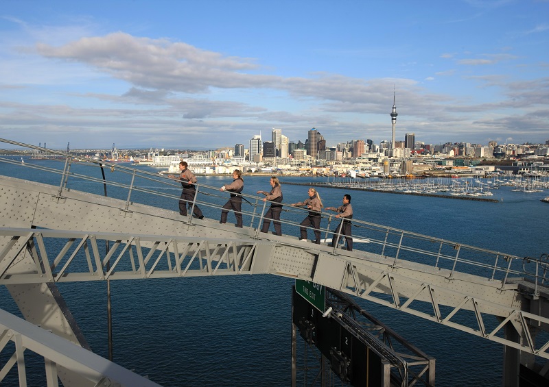New Zealand Tourism Guide Auckland Activities and Attractions