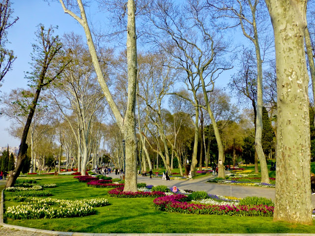 Tulipanes en el Parque Gülhane de Estambul