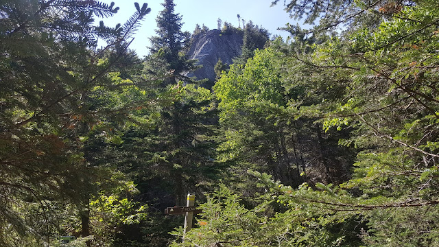 Sentier en direction vers le Round Top (mont Sutton)