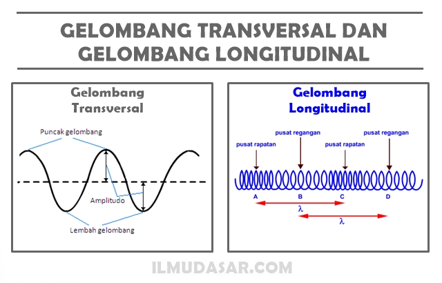 Gelombang Transversal Dan Gelombang Longitudinal - Benci Fisika