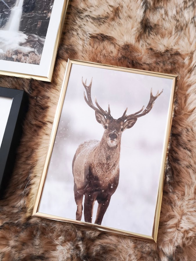 Cuadros de PosterStore