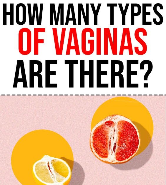 Different Types Of Vaginas Xwetpics Com My Xxx Hot Girl