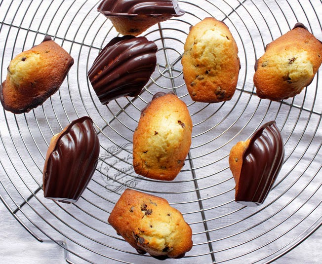 Madeleines enrobées de chocolat - La Vie Claire