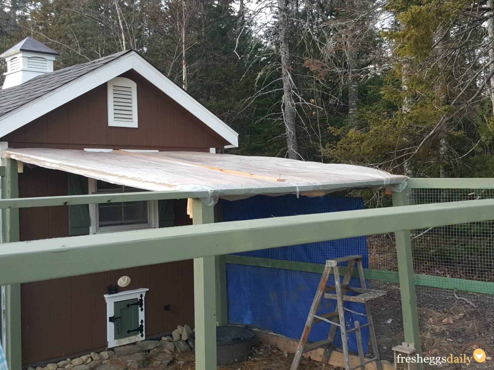 chicken run roof chicken run roof