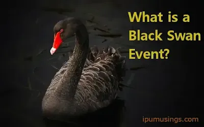 What is a Black Swan Event? (#Finance)(#ipumusings)(#bba)(#mba)