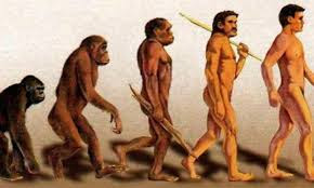 Teoria da evolução
