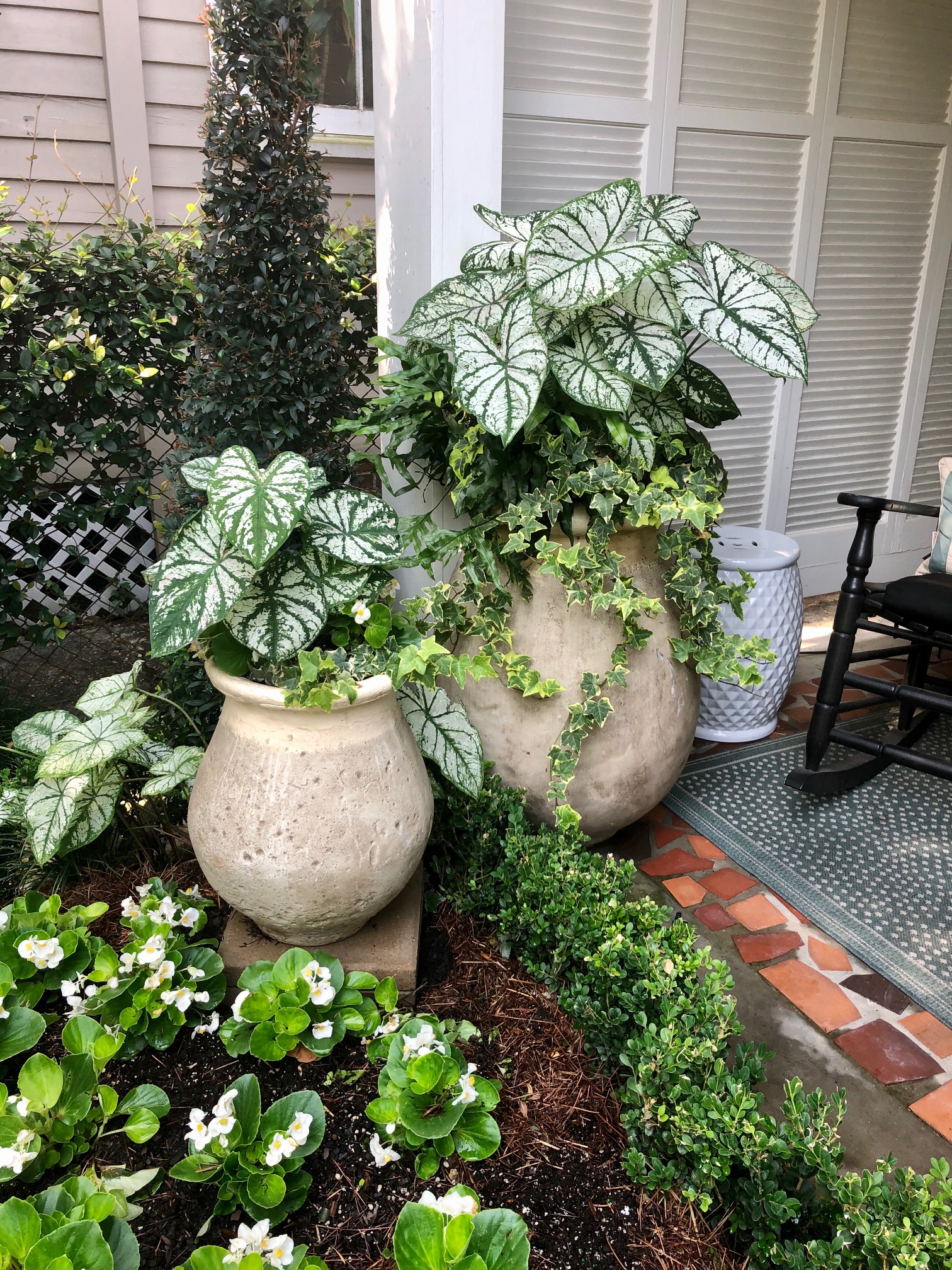 The Uptown Acorn Olive Jar Blooms