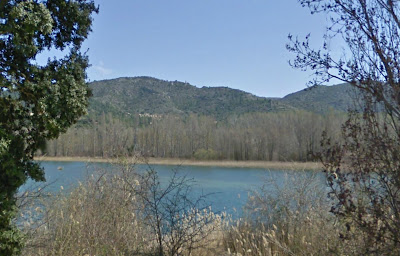 Vegetación en la orilla de Bolarque