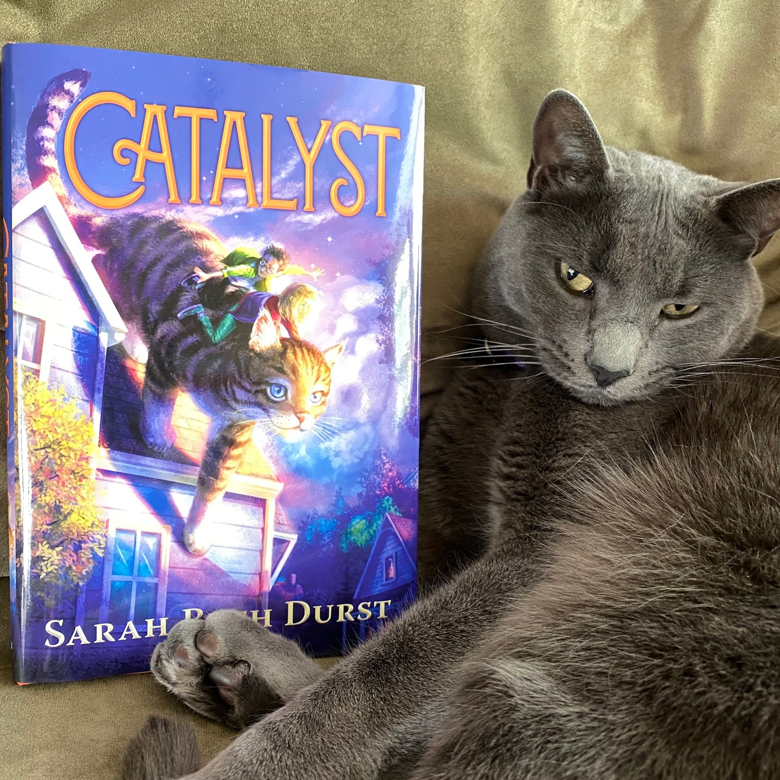 Sarah's Journal Excerpt from CATALYST