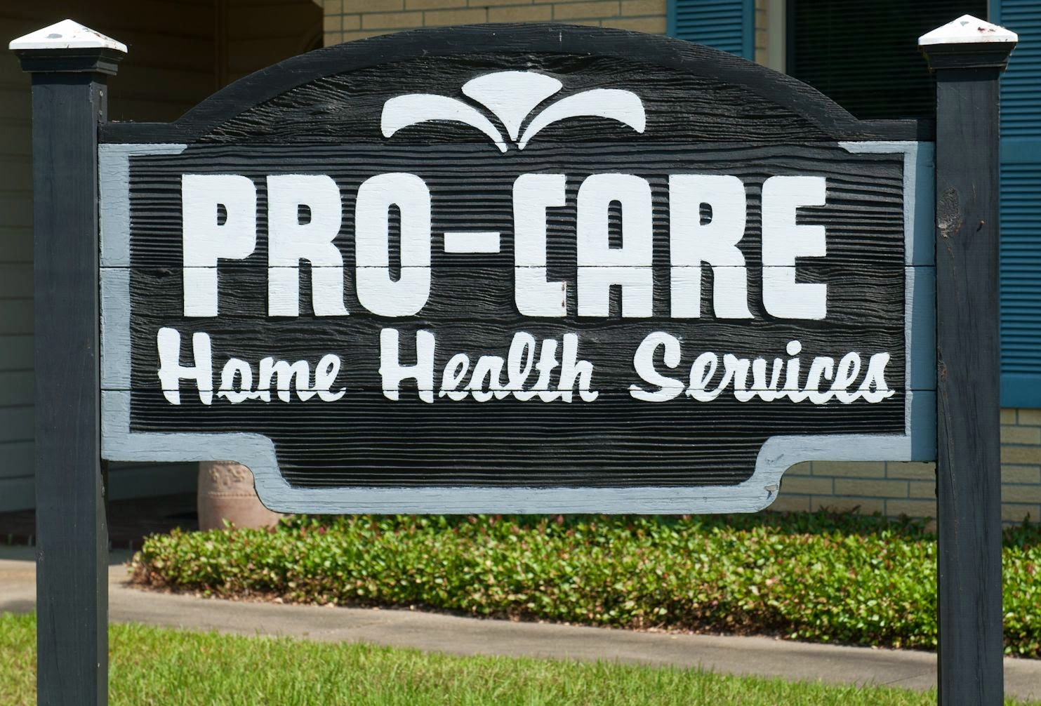 ProCare Home Health Services