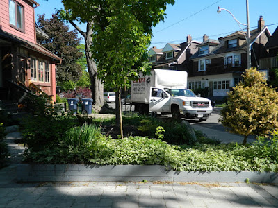 The Pocket garden renovation before Paul Jung Gardening Services Toronto