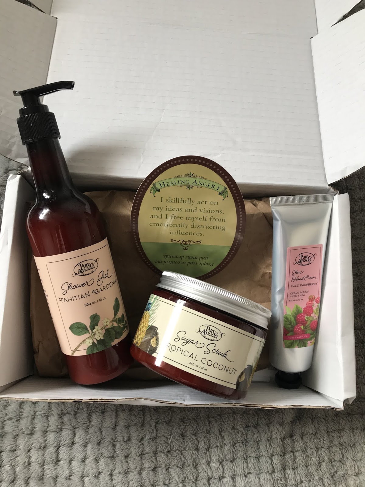 LIVE IN THE LIGHT/PURE ANADA FIRST IMPRESSIONS JUELOOK