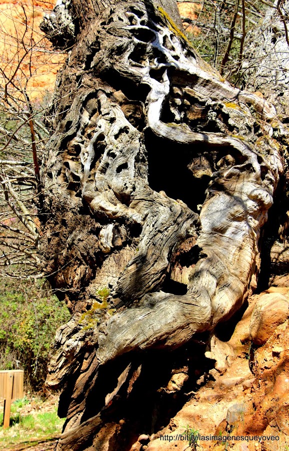 Las Médulas. Ponferrada. León. España
