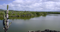 The Wetlands, Isabela Island, Galapagos