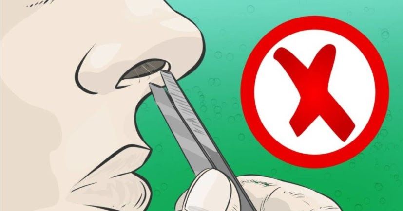 A Quoi Sert Les Poils Du Nez Savez-vous que s'arracher un poil du nez peut être mortel?