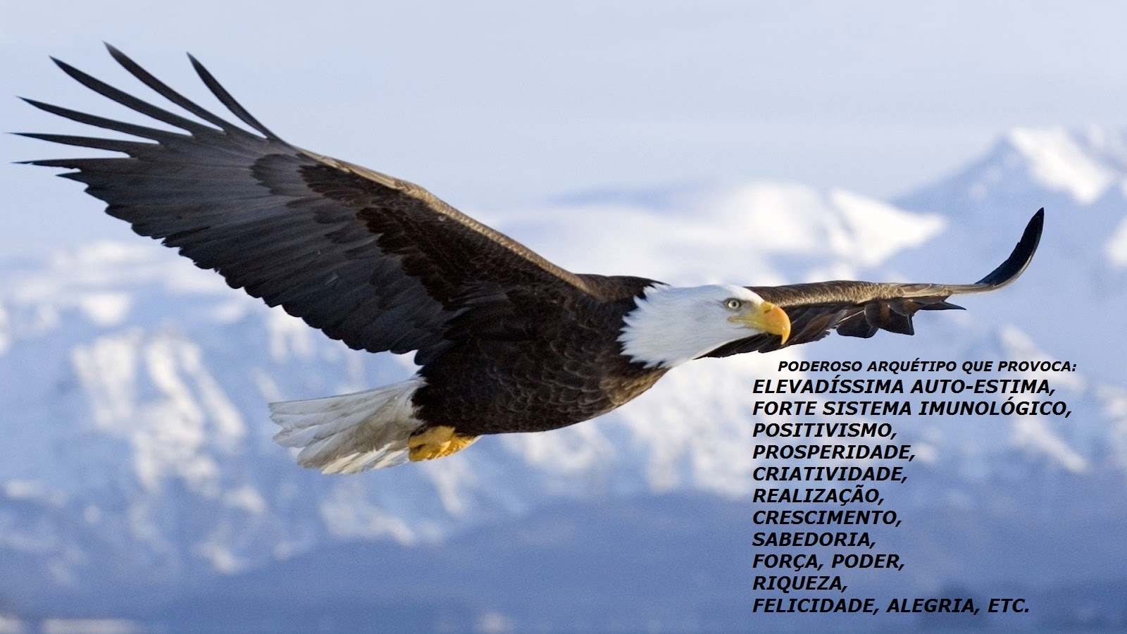 O ERMITA DO SENTIMENTO (GRATIDÃO): ARQUÉTIPOS E OS SENTIMENTOS QUE PROVOCAM