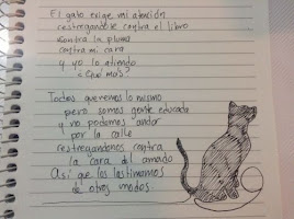 POEMAS SOBRE GATOS