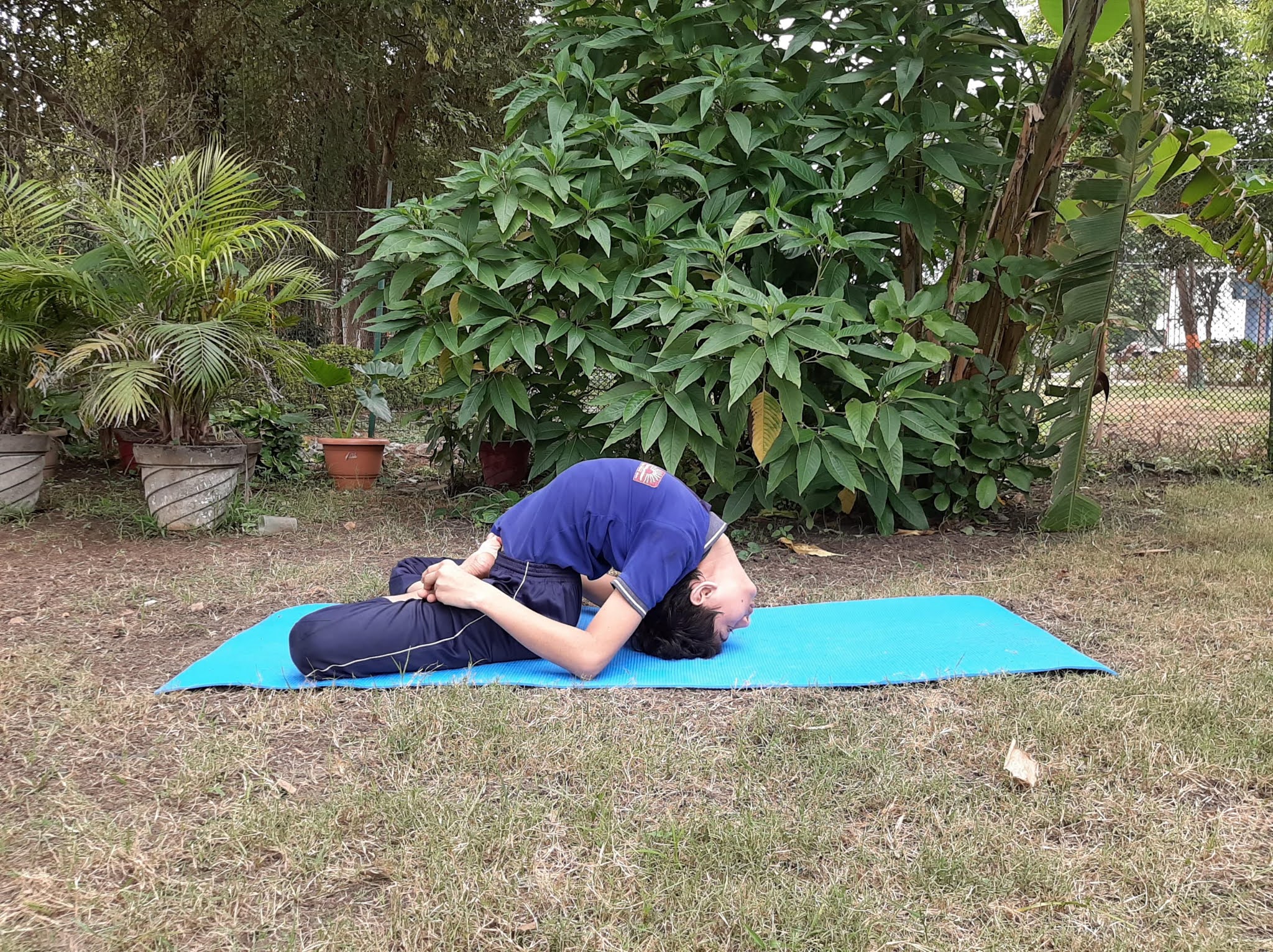 Kendriya Vidyalaya Ujjain: List of Yoga Posture