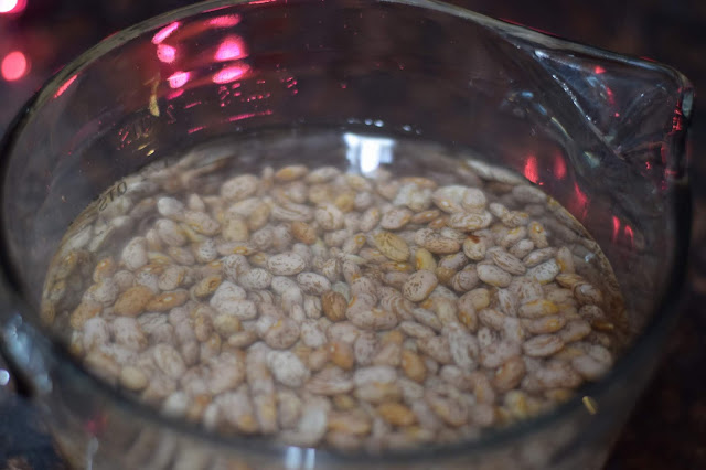 Dry pinto beans soaking in water.