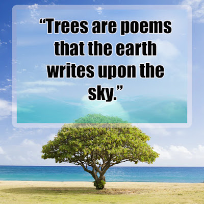 Inspirational quotes about trees Quotes on importance of trees Planting Tree Quotes