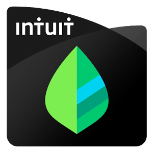 intuit mint credit score