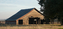 Another Old Barn