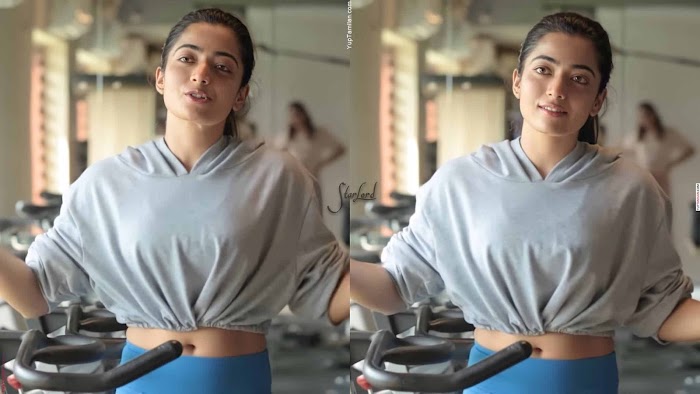 Rashmika Mandanna's 100 Hot and Beautiful Photos-Spicy Navel Show Images