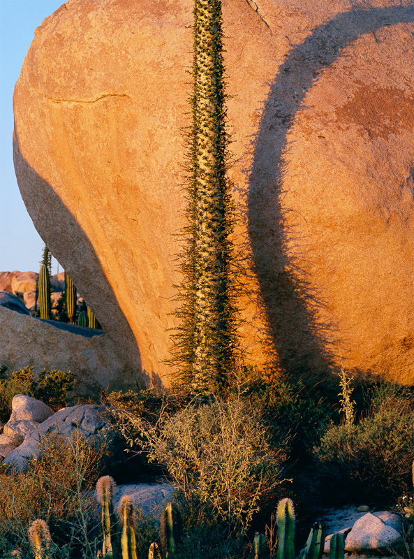 Exposition Art Blog Philip Hyde Landscape Photographer