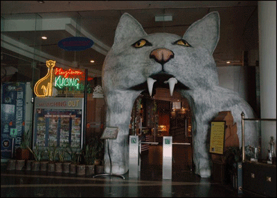 Daynells: Cat museum