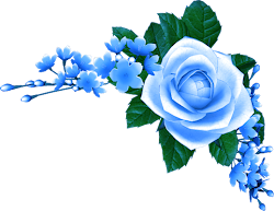 blue roses transparent background 2