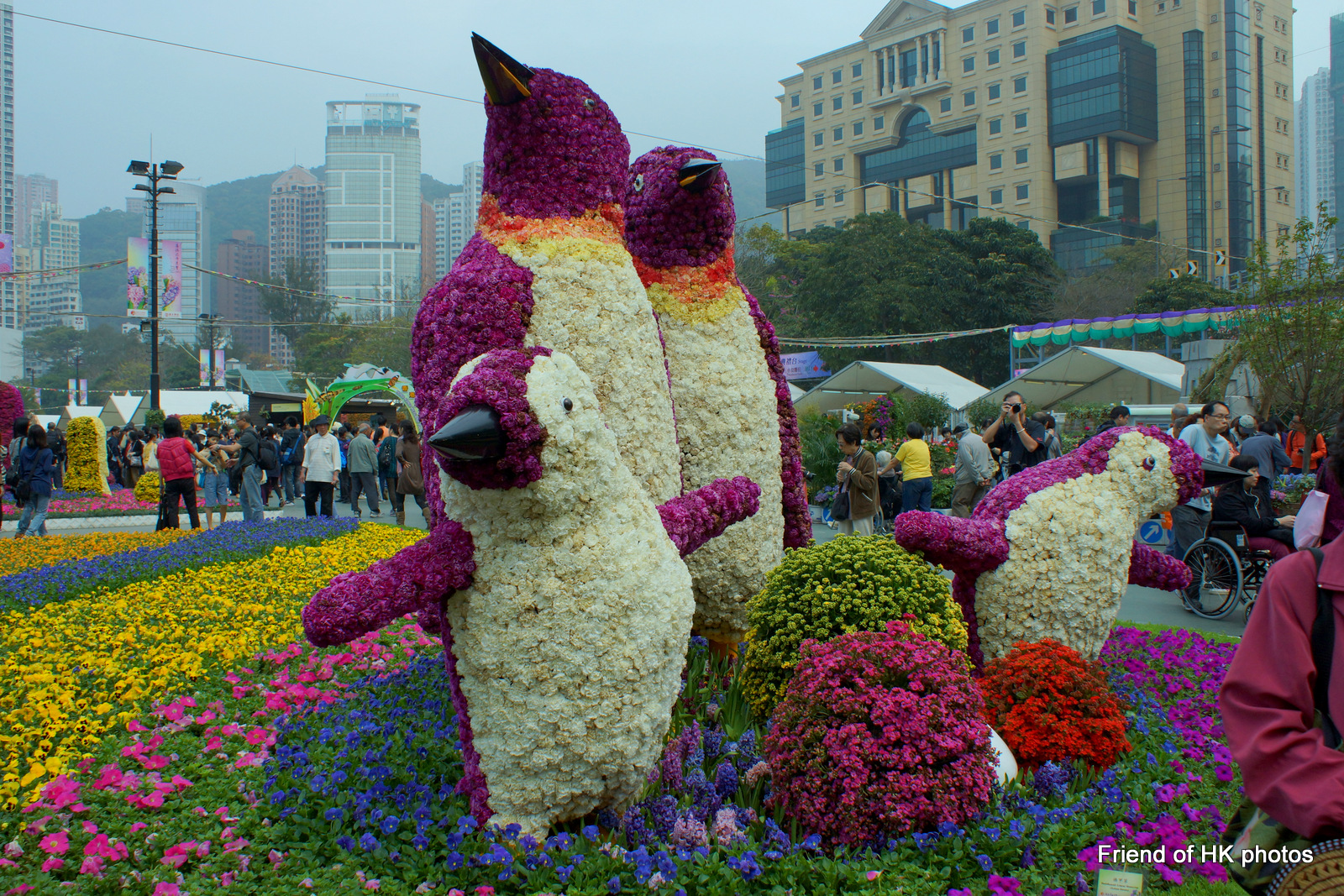 Photographic Wildlife Stories in UK/Hong Kong Annual Hong Kong Flower Show