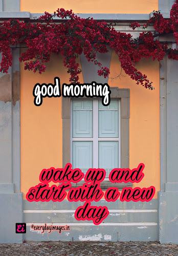 10 good morning royality free images 10 good morning royality free images