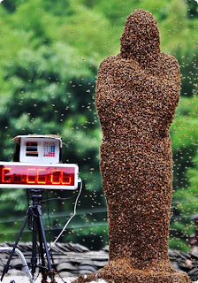 Bee Mans in China